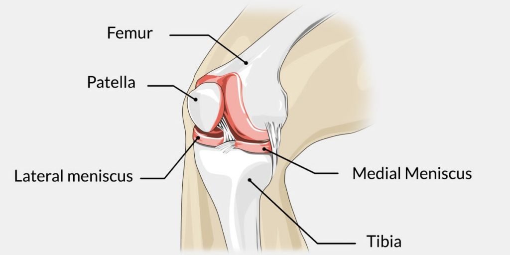 Knee Injury